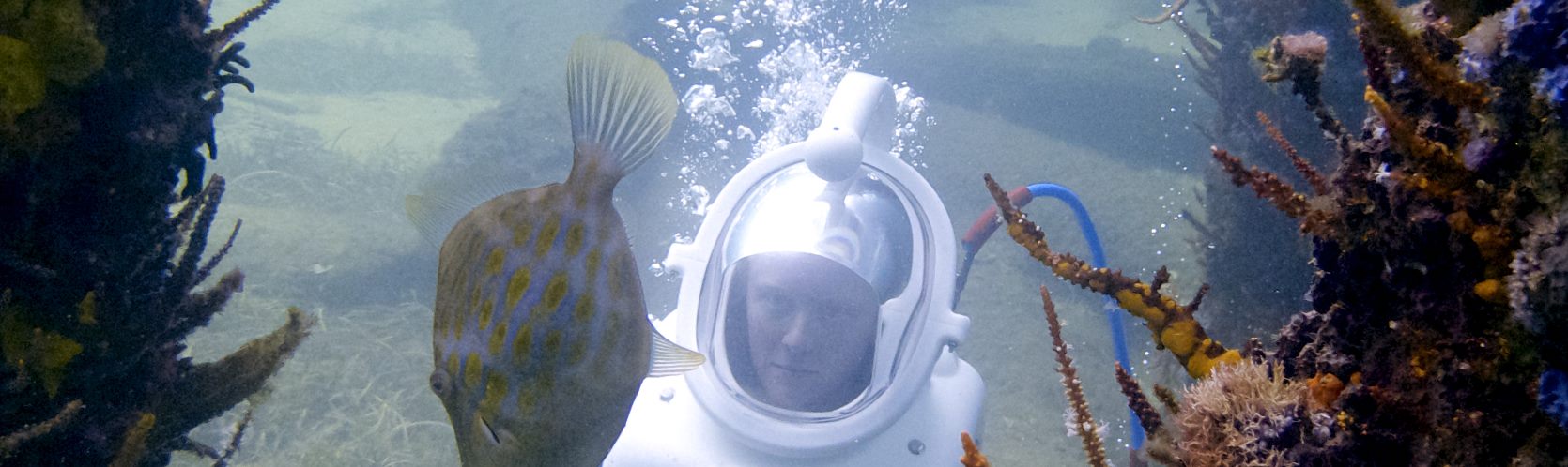 Underwater Walking tours