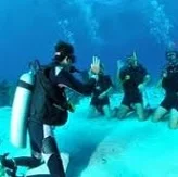 Jetty Dive Courses